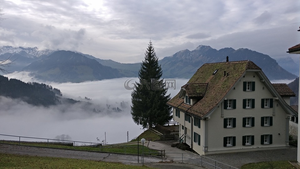 雾,山,中央瑞士