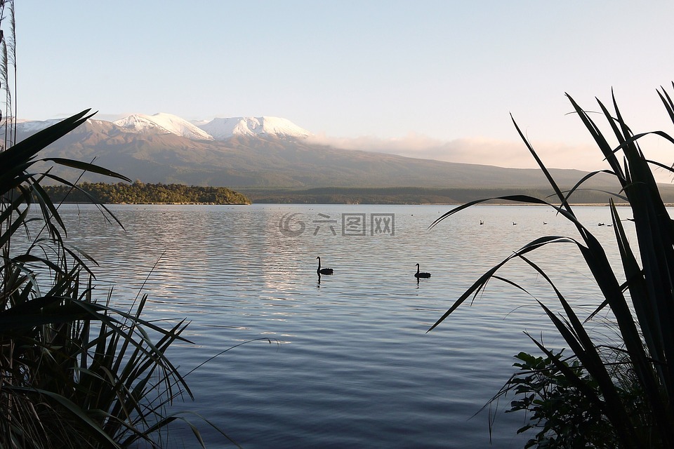 湖,景观,火山
