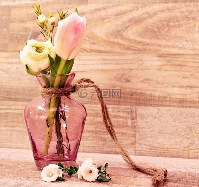 郁金香,毛茛属植物,花瓶