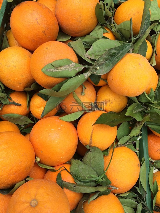 橘子,市场摊位,橙色
