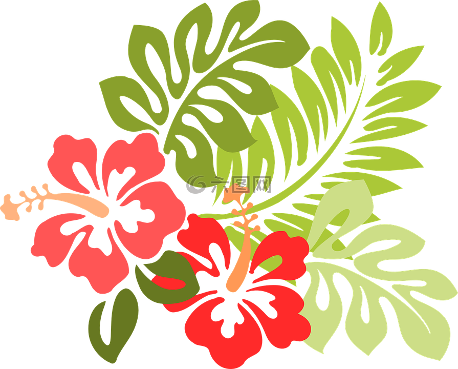 夏威夷,槿,植物区系