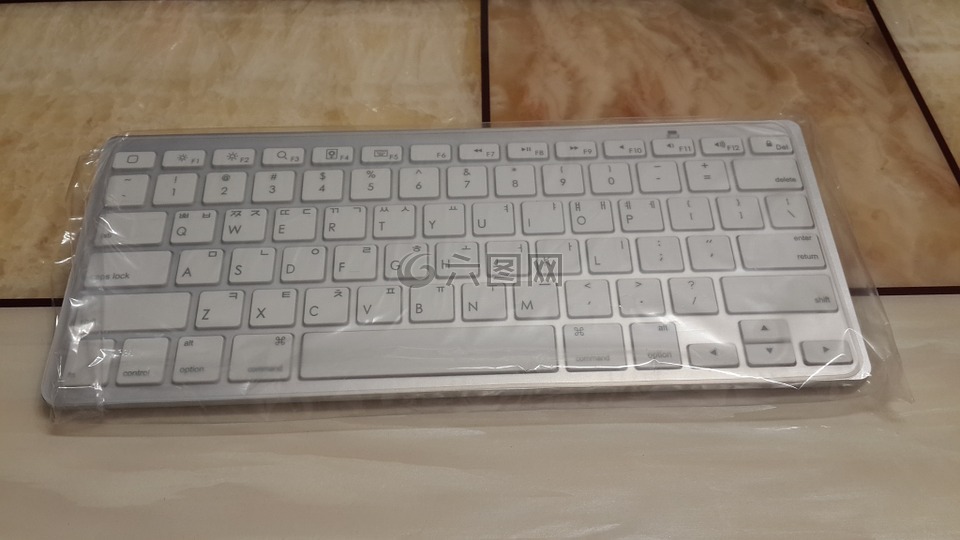 键盘,计算机,键盘上的键