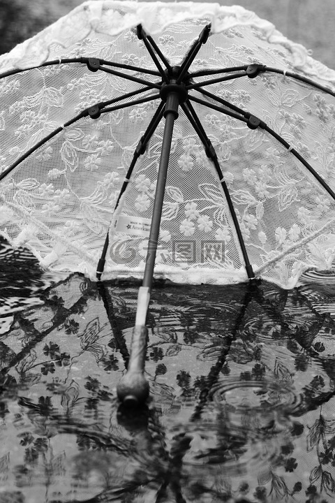 伞,梧桐,水