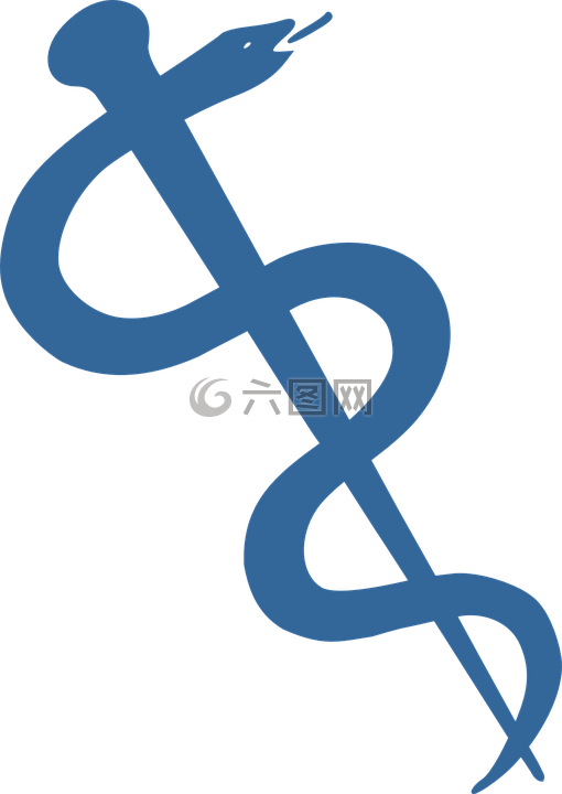 蛇,工作人员,符号