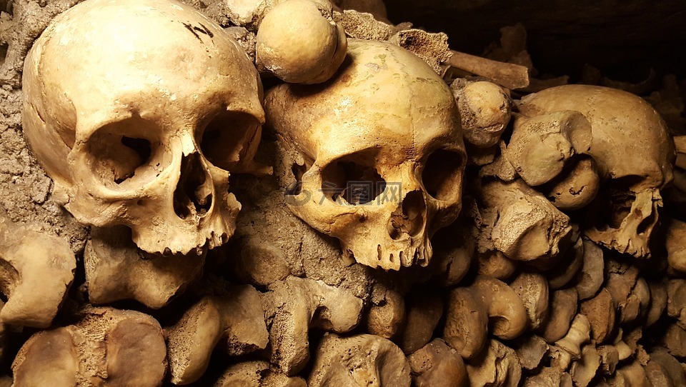 地下墓穴,巴黎,头骨