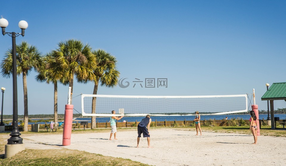 沙滩排球,排球网,松木岛