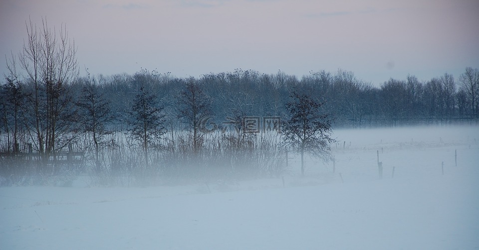 雾,景观,冬天