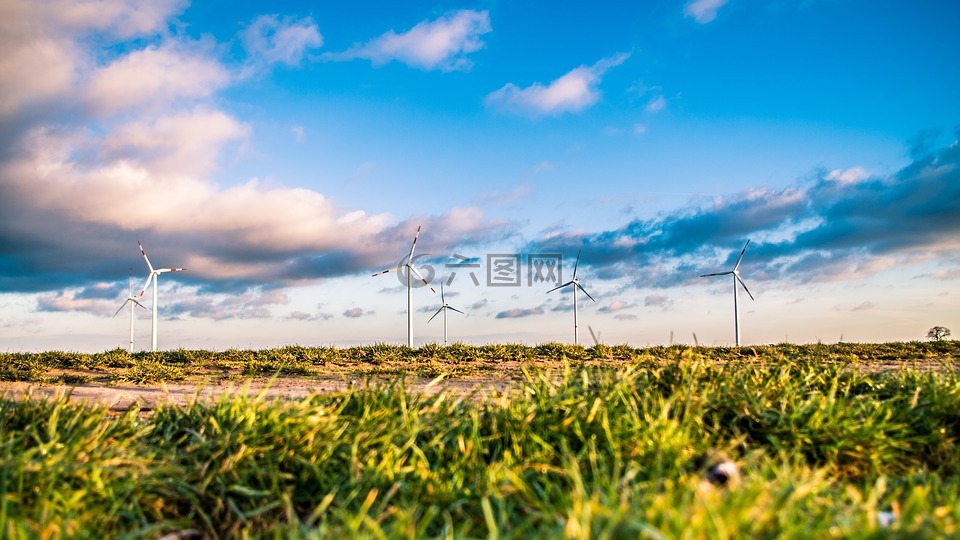 风电场,能源,绿色