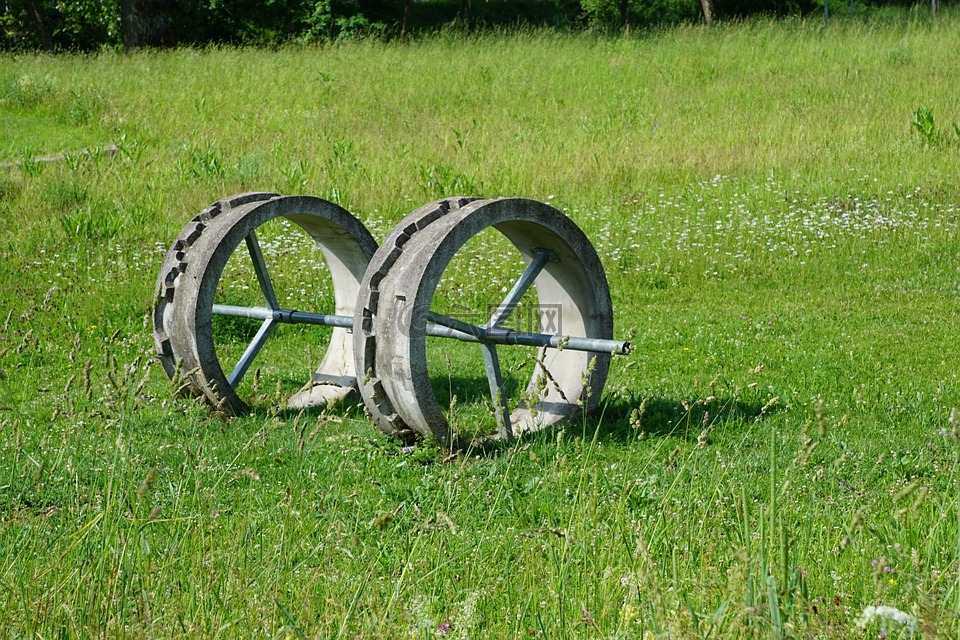 轮,发明,草地