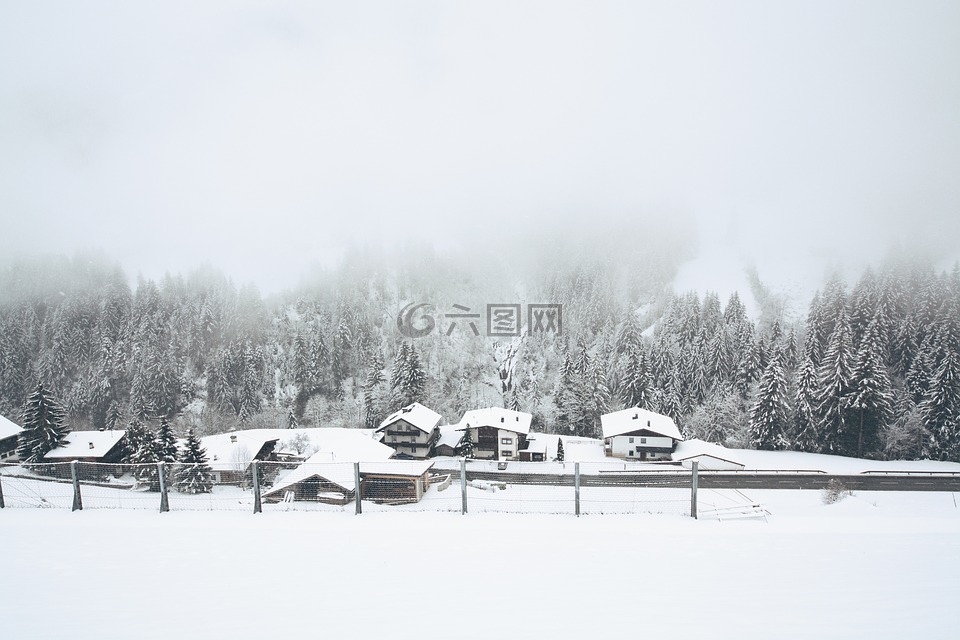 雪,村,冬天