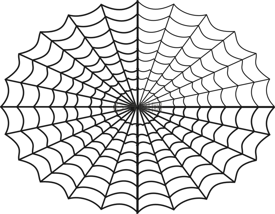 蜘蛛,web,爬行