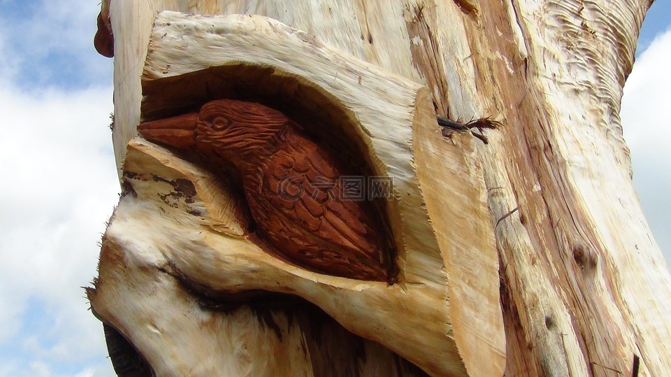 木,雕刻,鸟