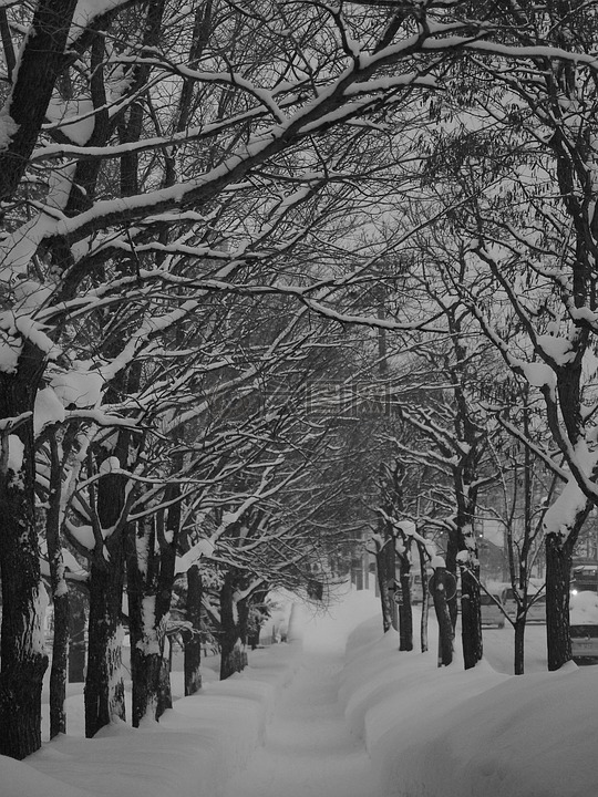 雪景,冬季,路