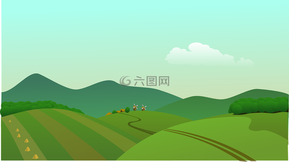 景观,农村,字段