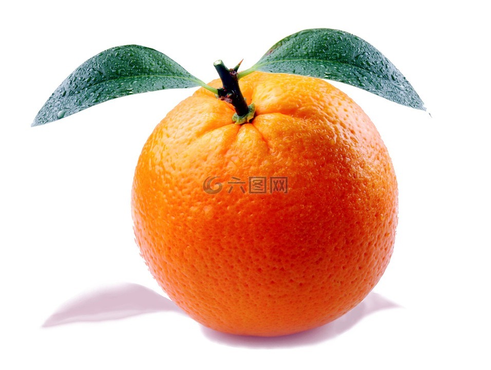 橙色,柑橘果实,水果