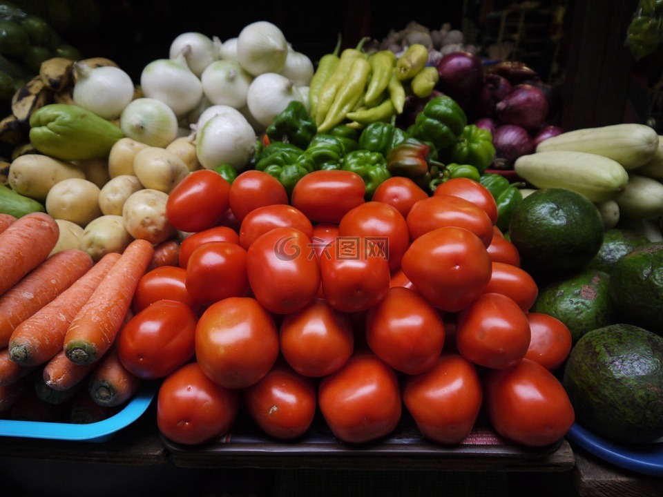 蔬菜,蕃茄,胡萝卜