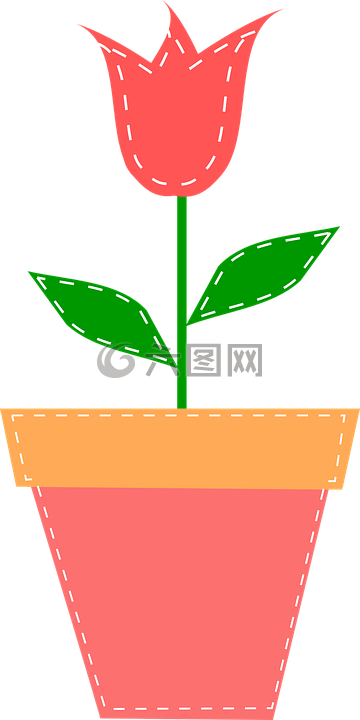 郁金香,花,花的