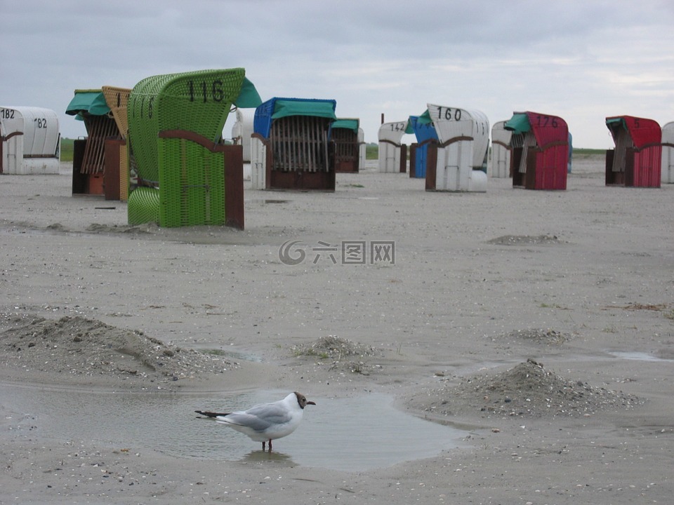 俱乐部,海滩,沙