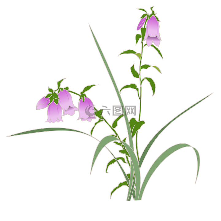 萤火虫项目,野生草,紫色的花
