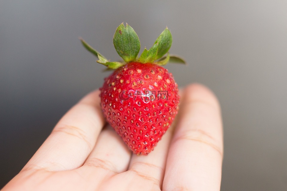 草莓,手,水果