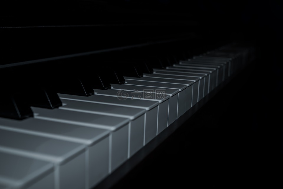 钢琴,键,钢琴键盘
