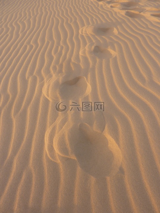 沙,乌拉圭,在沙子里的脚印