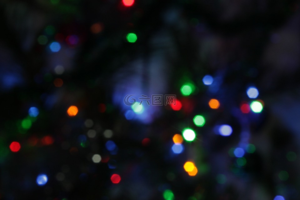 散景,灯火,圣诞树