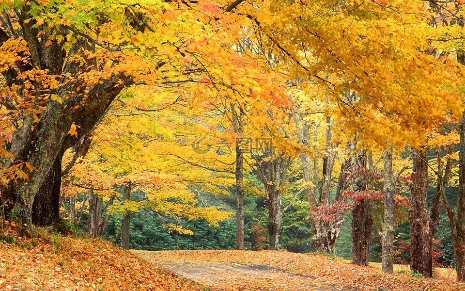 北卡罗莱纳州,秋,秋天