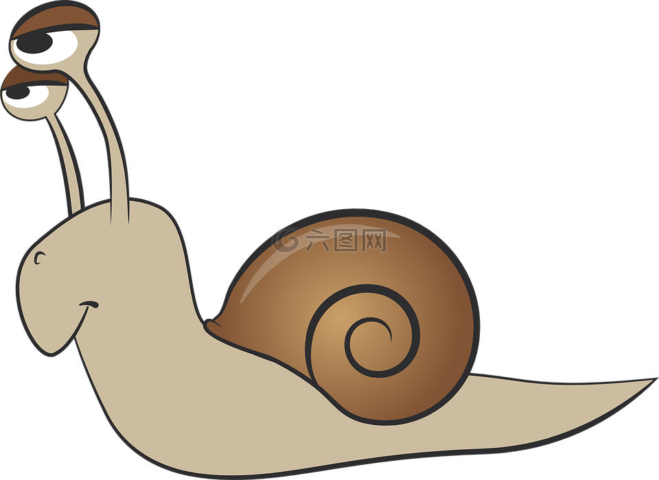 蜗牛,壳,软体动物