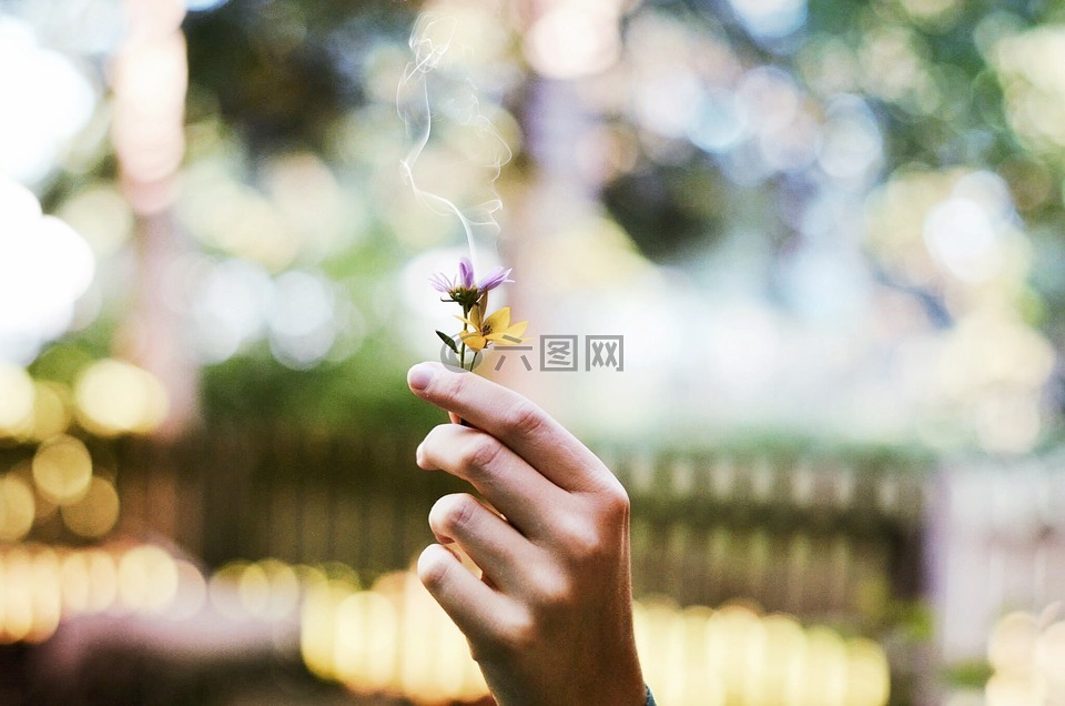 花,吸烟,吸烟花