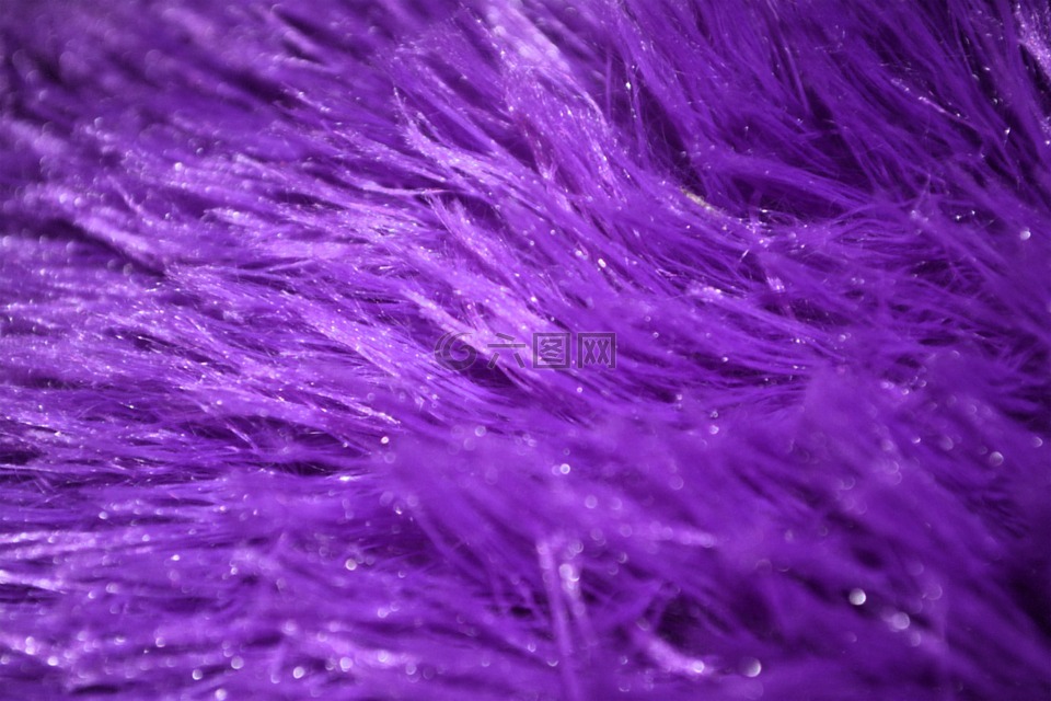 紫色,毛皮,毛茸茸的