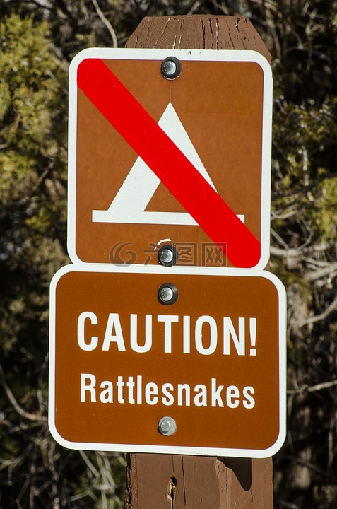 小心响尾蛇,响尾蛇,警告