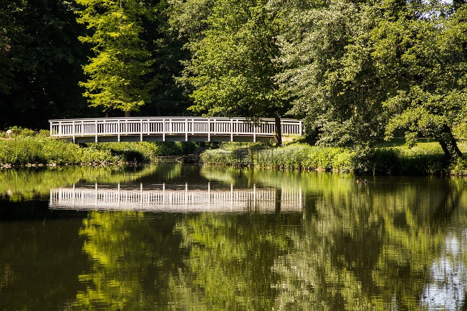 桥,公园,树木