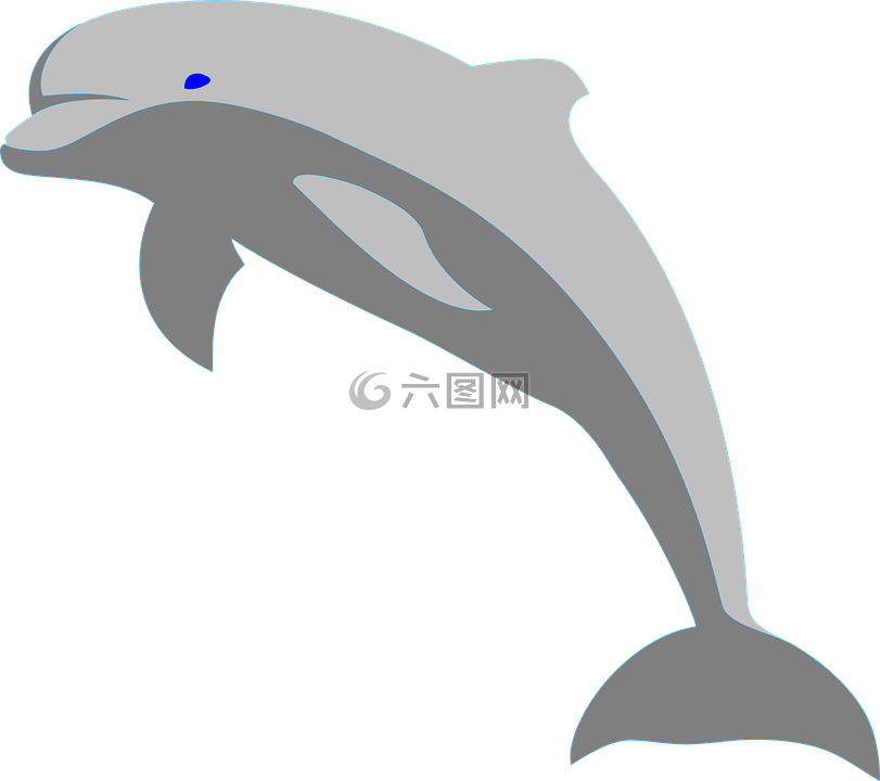 海豚,鱼,海洋哺乳动物