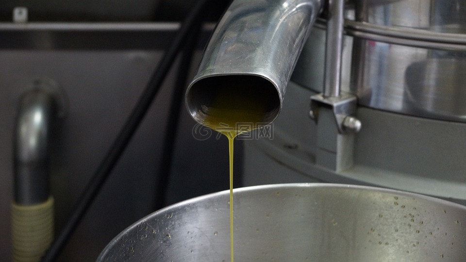 橄榄油,生产,制造