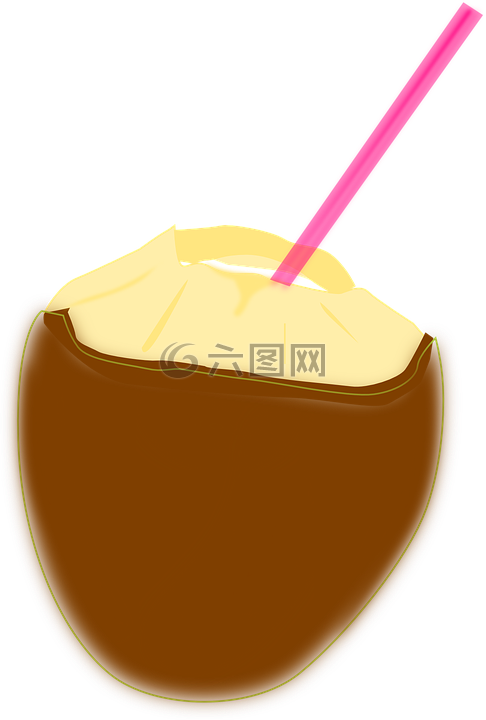 椰子,椰奶,热带饮料