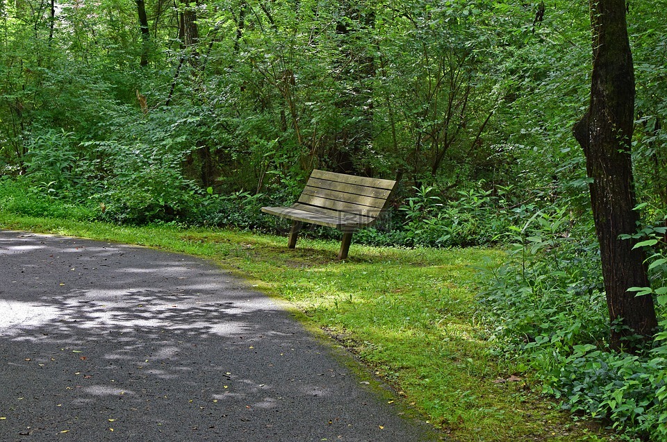 板凳上的绿色路径,长凳,木
