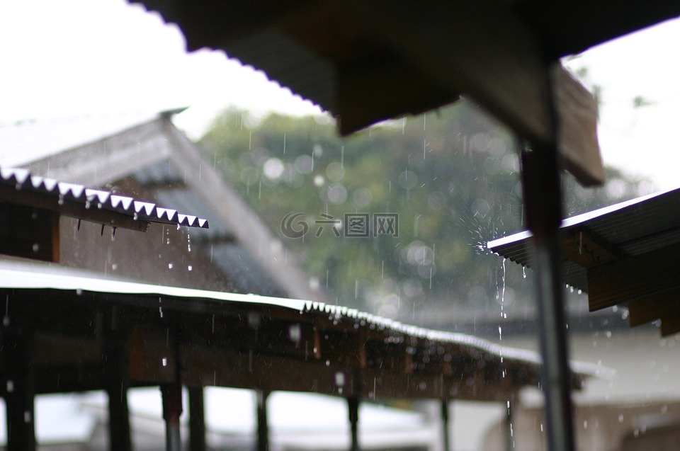 下雨天,夏天,雨