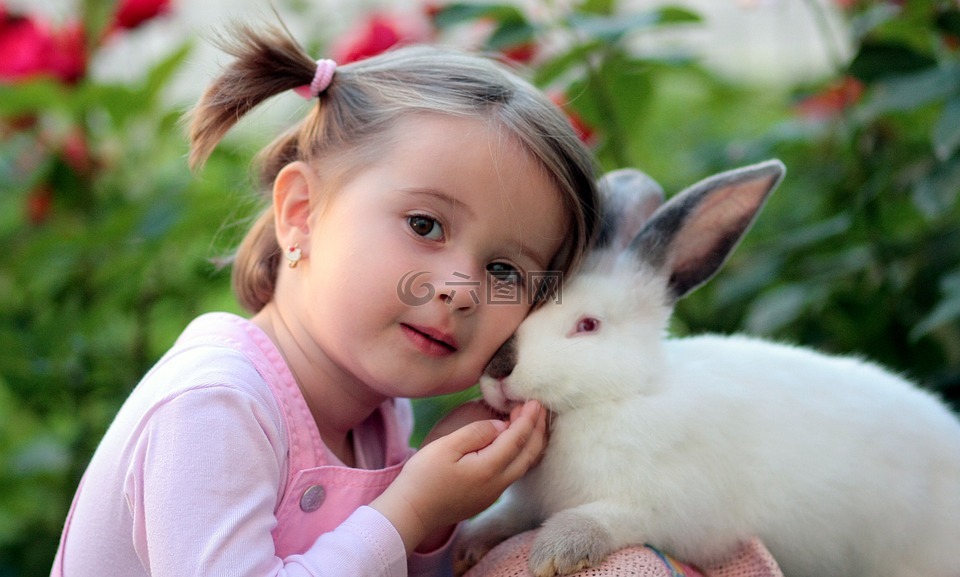 女孩,兔子,友谊
