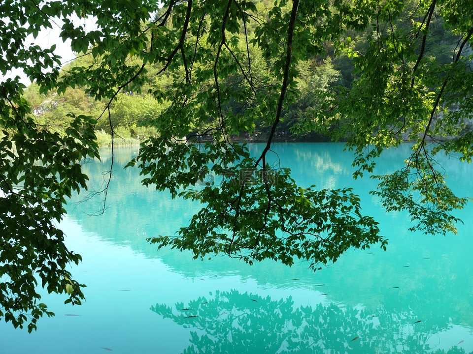 普利特维切湖,蓝色的水,克罗地亚