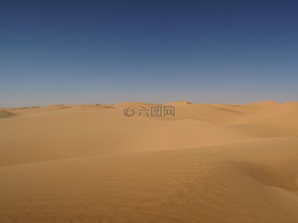 沙漠,砂,阿尔及利亚