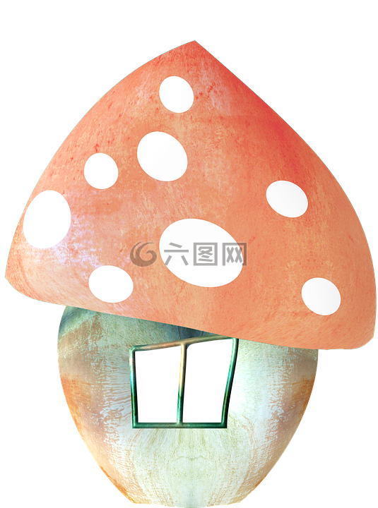蘑菇,菇房,秋季