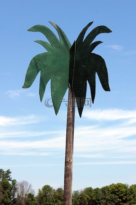 假,棕榈,树