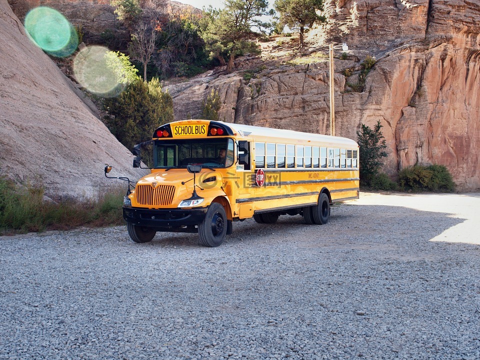 学校巴士,美国
