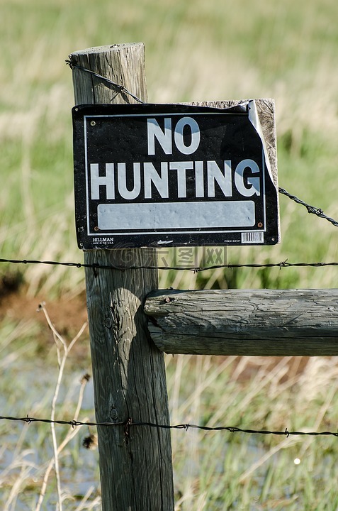 没有打猎的迹象,没有狩猎,篱笆