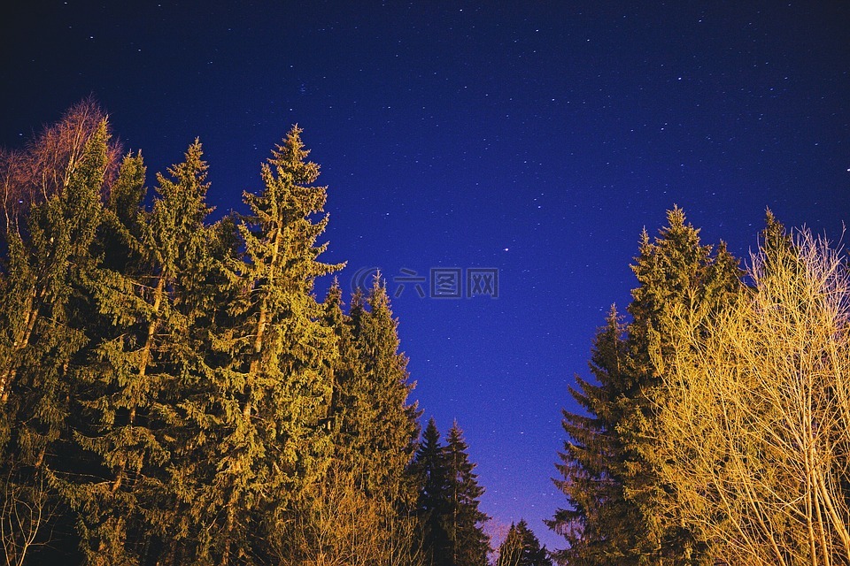 明星,夜晚的天空,景观