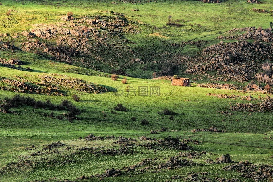 景观,谷,风景