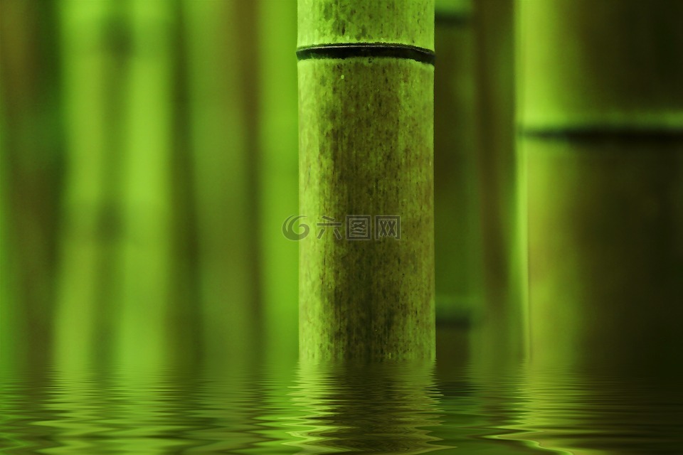 竹,抽象,绿色