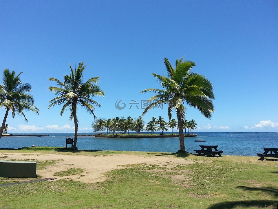 斐济,海滩,休闲区
