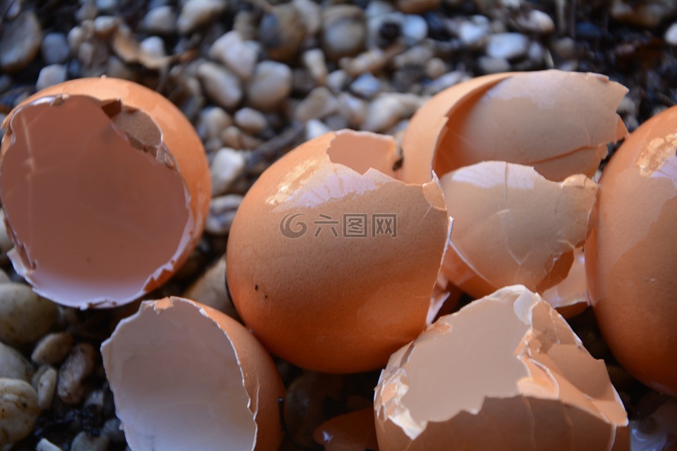 鸡蛋壳,破碎,钙